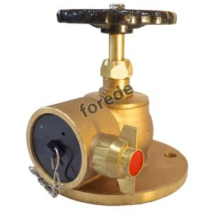 Angle Flange Type Landing Valve