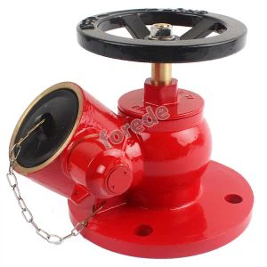 Oblique Flange Type Landing Valve