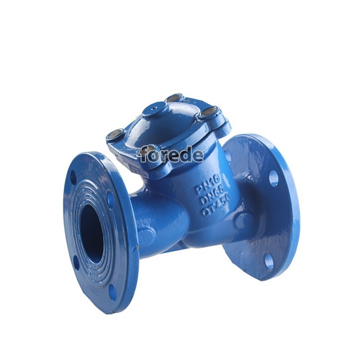 Flange End Y Type Check Valve