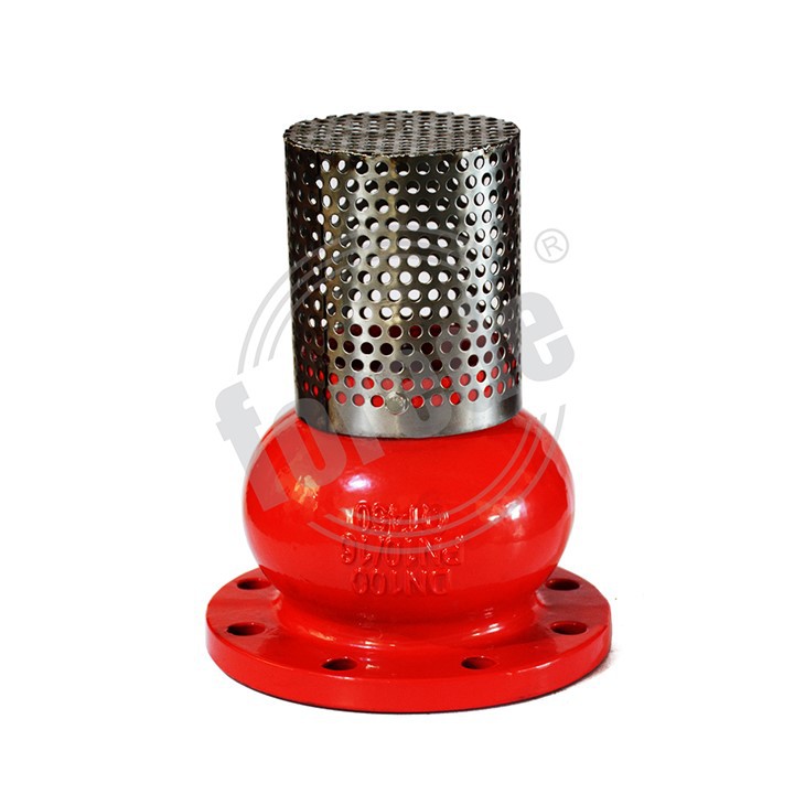 4 Inch Foot Valve suppliers