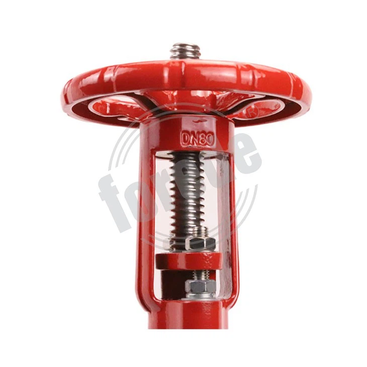 Groove End Rising Stem Stainless Steel Gate Valve