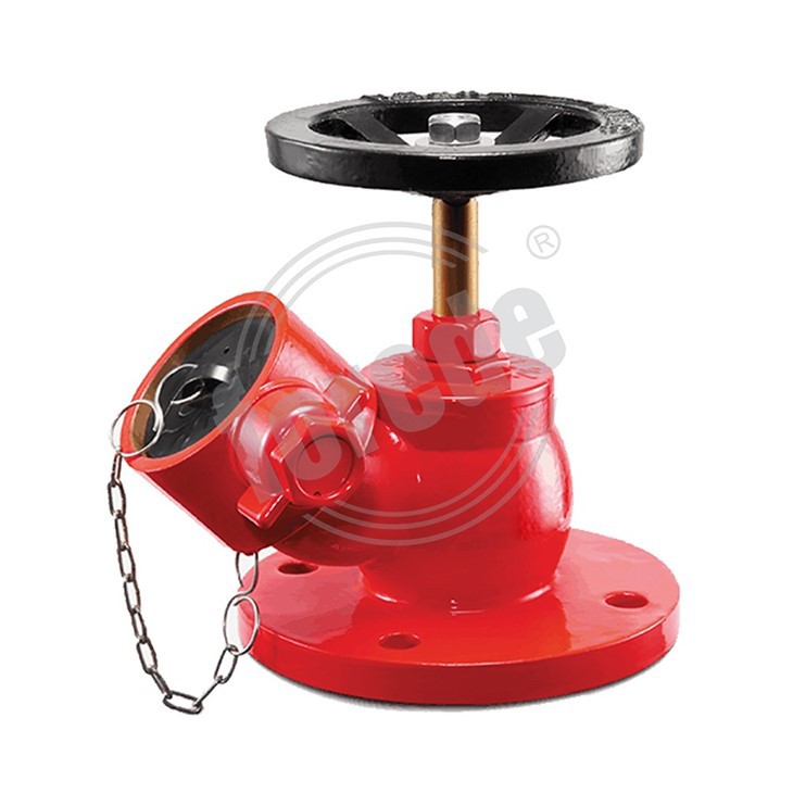 Fire Hydrant Valve 2.5