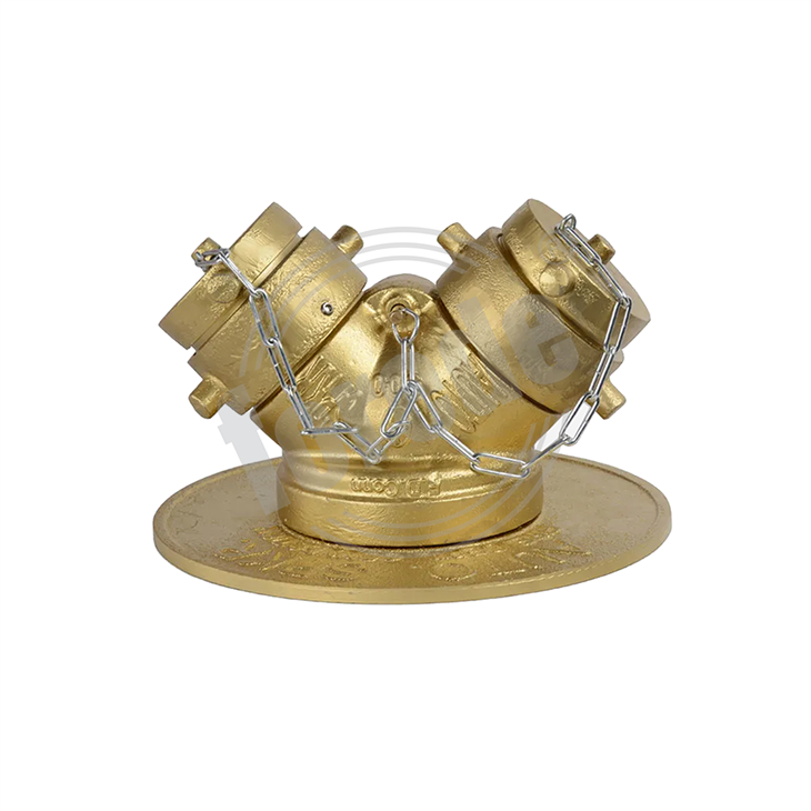 Double Clapper Y Type Valve