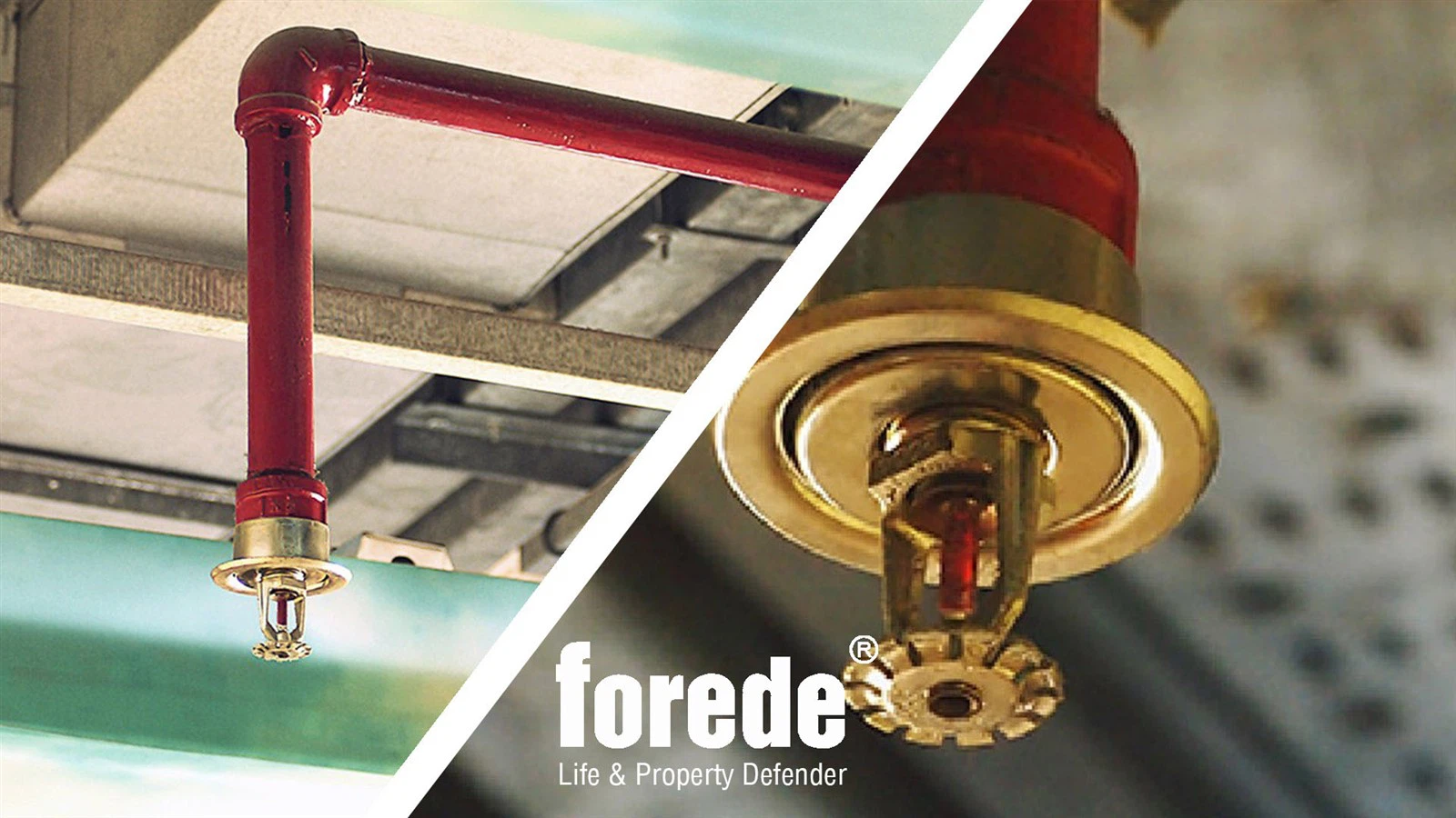 info-1600-900 info-1600-900