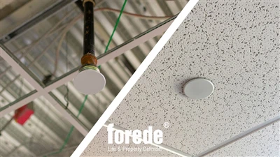 Concealed Sprinkler