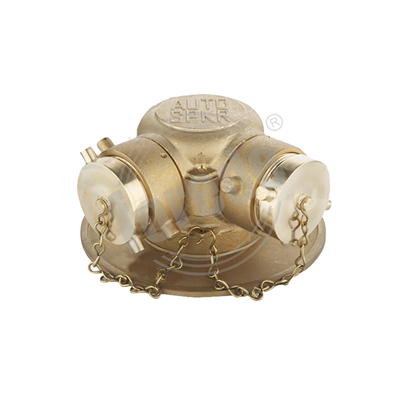 Auto Sprinkler Fire Department Connection