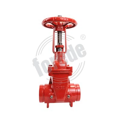 6 Rising Stem Gate Valve