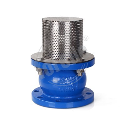 Ductile Iron Flange End Foot Valve