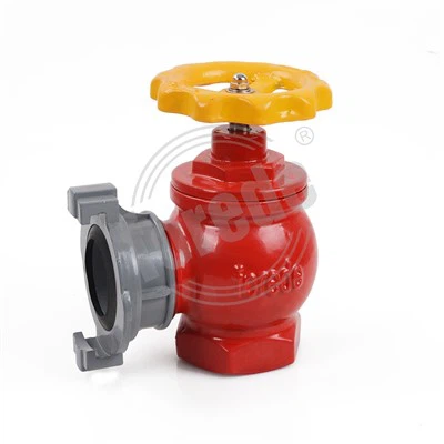 Ductile Iron Hydrant Valve