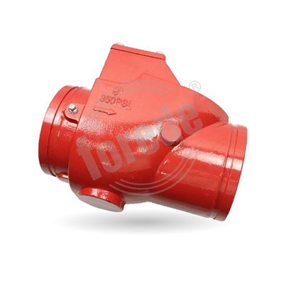 Grooved Type Swing Check Valve