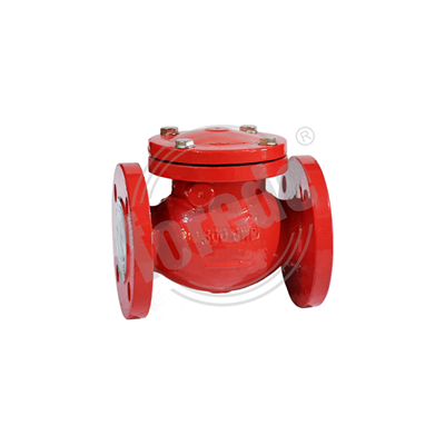 Swing Check Valves