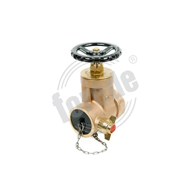 Wedge Type Landing Valve