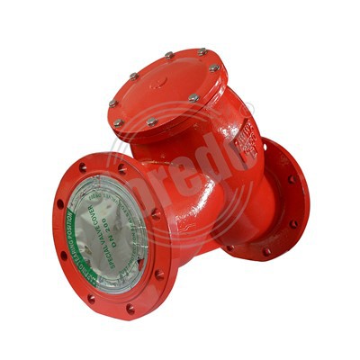 Y Strainer Check Valve